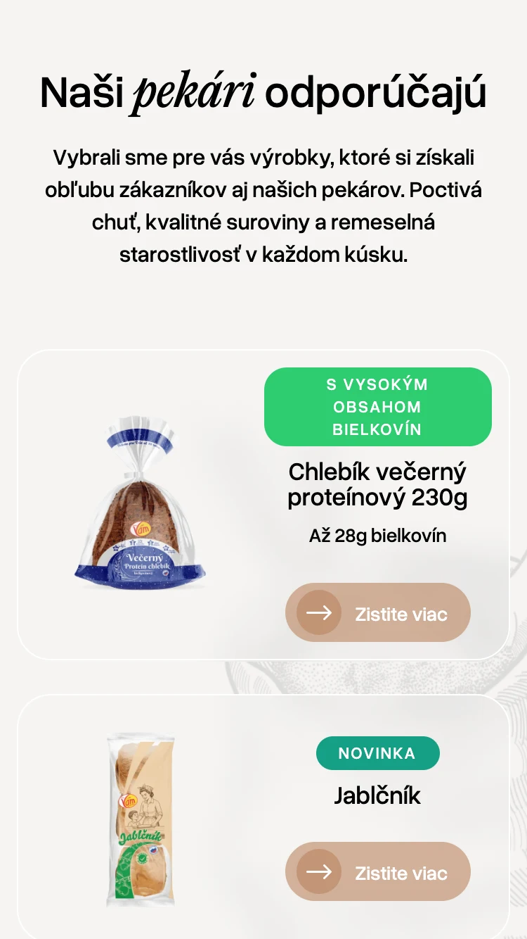 vamex.sk — iPhone SE · 375 × 667